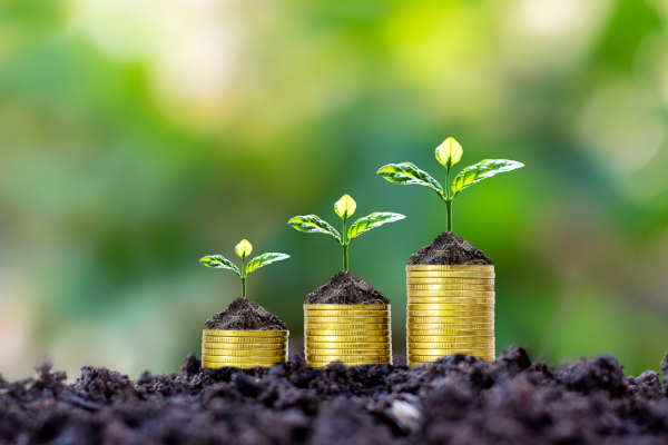 Revenue Growth Global Hospitality Booking Platform